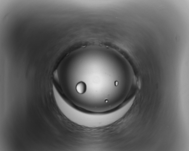 X0000088921492200706151915