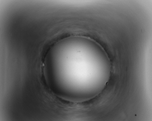X0000088921493200706151915