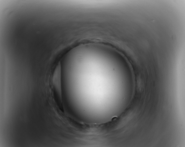 X0000088921494200706151915