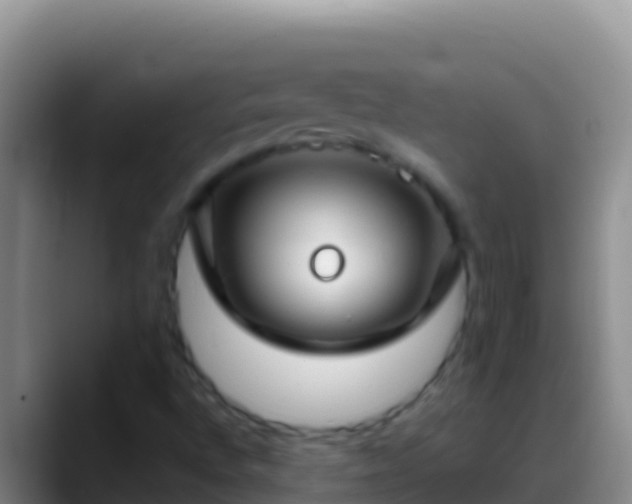 X0000088921496200706151915