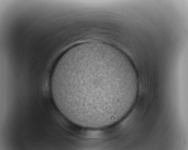 X0000088921498200706151915