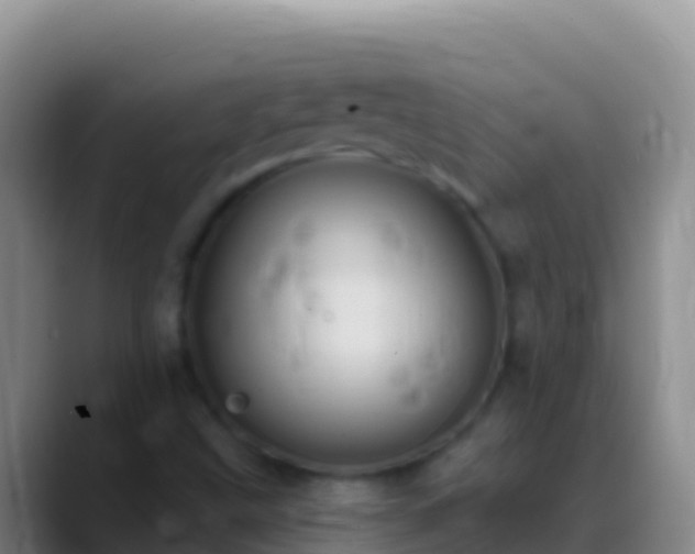 X0000088921499200706151915