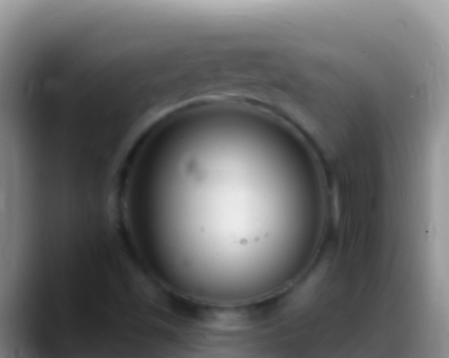 X0000088921501200706151915