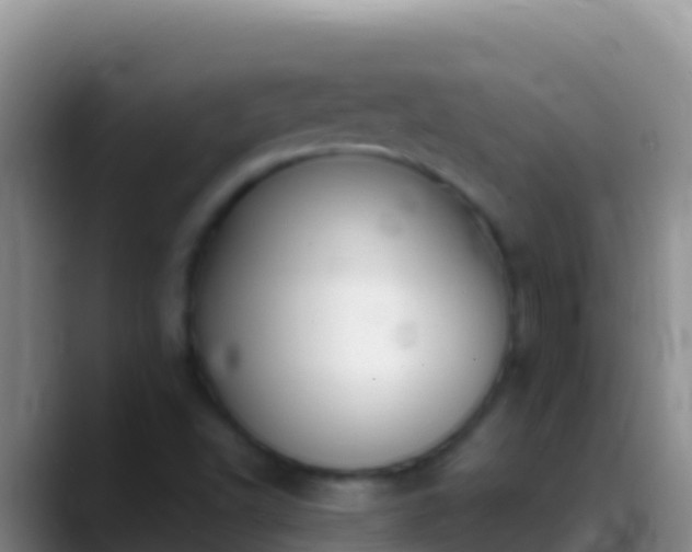 X0000088921502200706151915