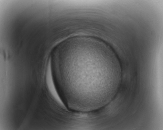 X0000088921505200706151915