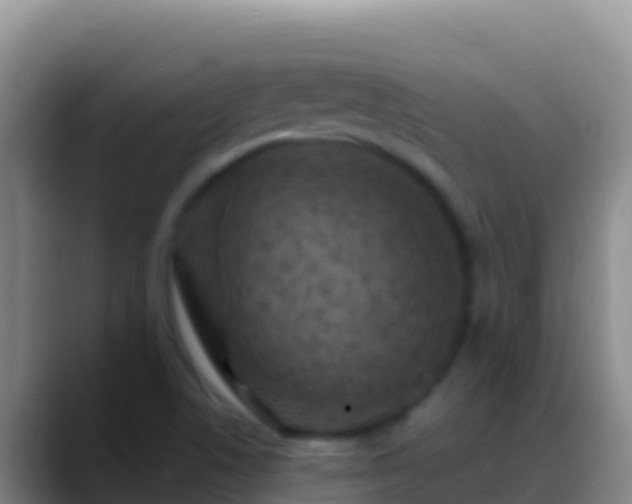 X0000088921506200706151915