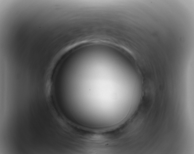 X0000088921507200706151915