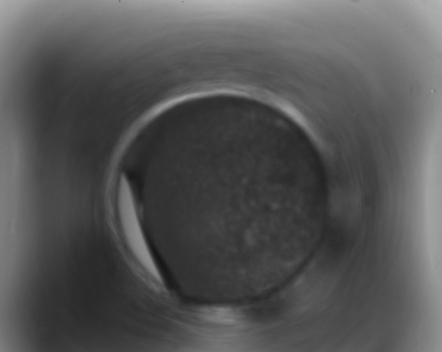 X0000088921508200706151915