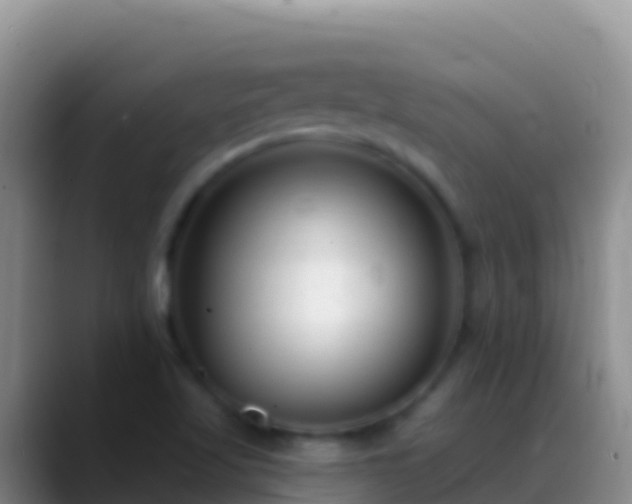 X0000088921509200706151915