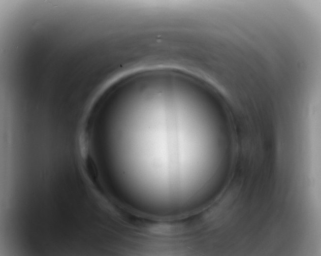 X0000088921510200706151915