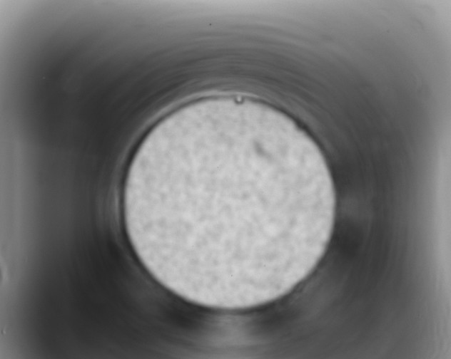 X0000088921514200706151915
