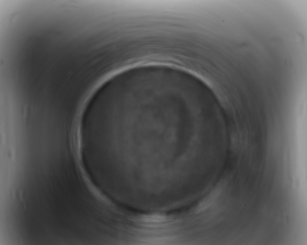 X0000088921515200706151915