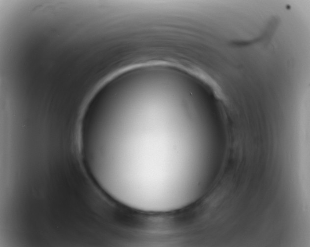 X0000088921516200706151915