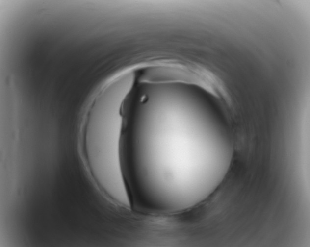 X0000088921520200706151915