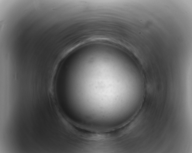 X0000088921521200706151915