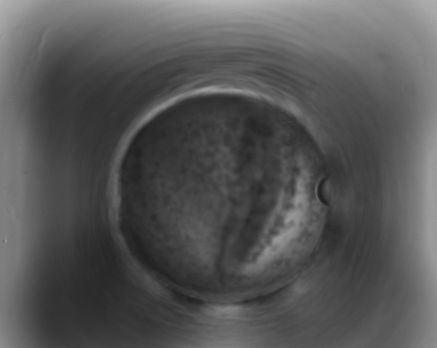X0000088921522200706151915