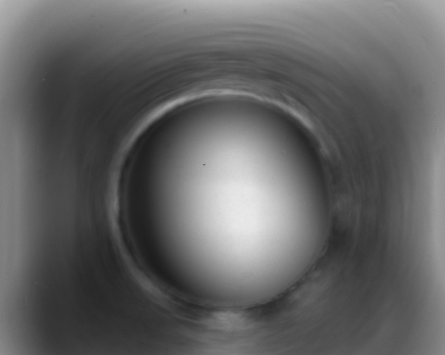 X0000088921523200706151915
