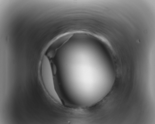 X0000088921524200706151915