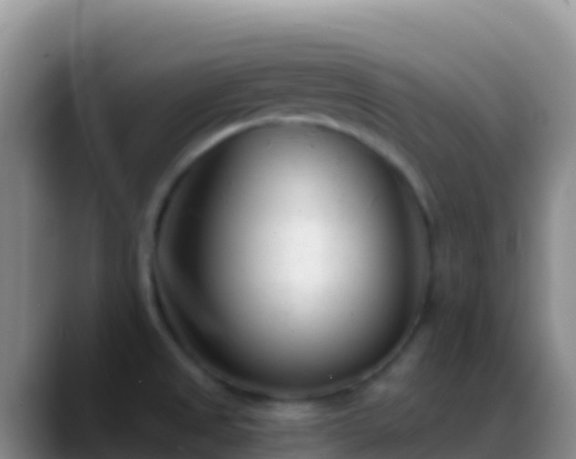 X0000088921525200706151915