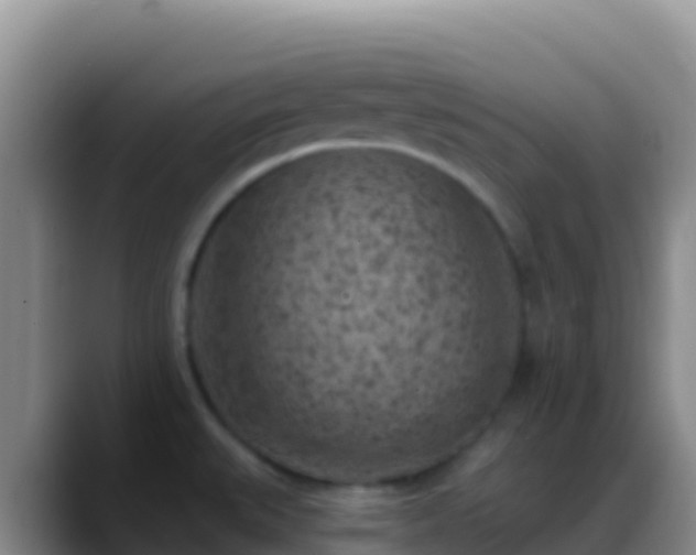 X0000088921527200706151915