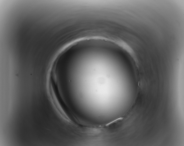 X0000088921528200706151915