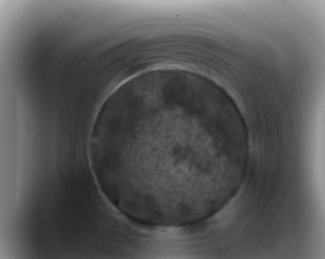 X0000088921529200706151915