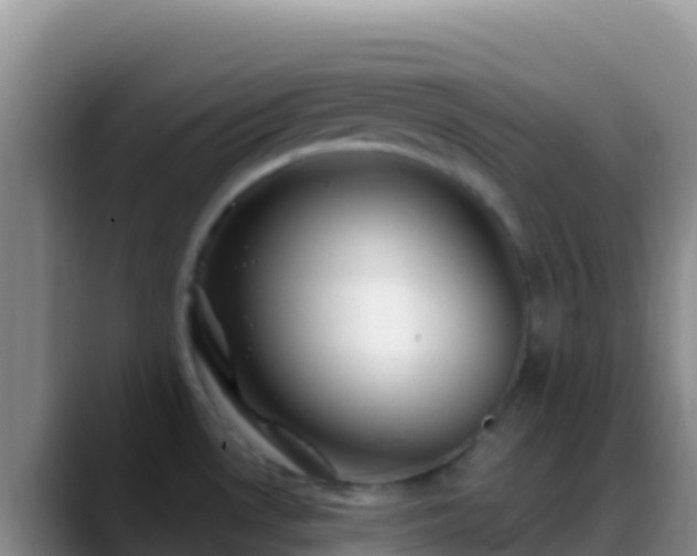 X0000088921530200706151915