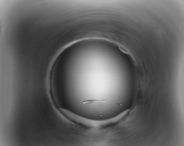 X0000088921531200706151915