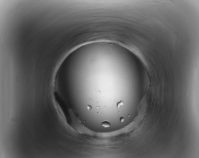 X0000088921532200706151915