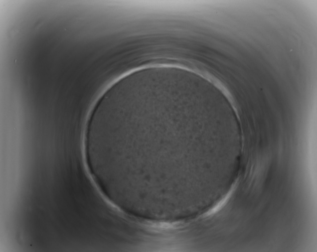 X0000088921533200706151915