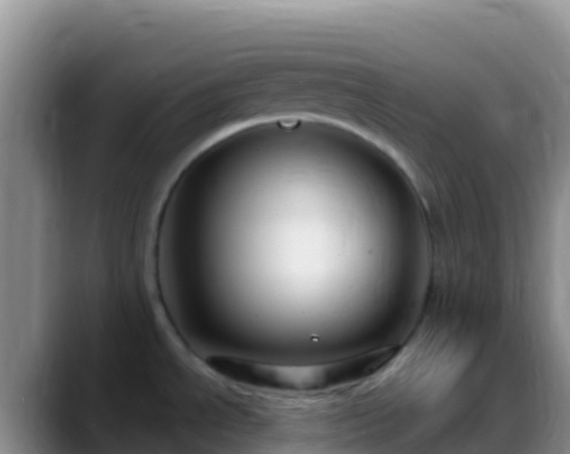 X0000088921534200706151915