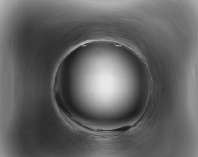 X0000088921536200706151915