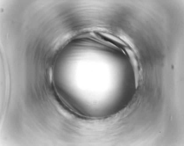 X0000088920013200706222006