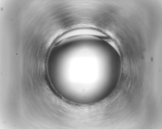 X0000088920015200706222006