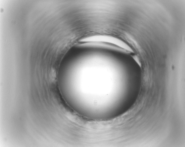 X0000088920025200706222005