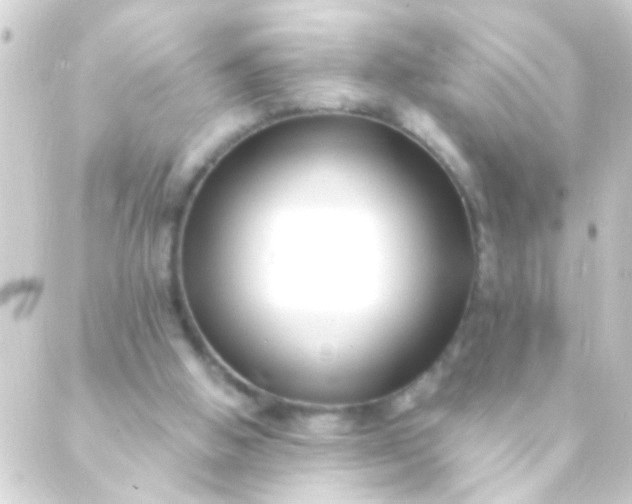 X0000088920058200706222004