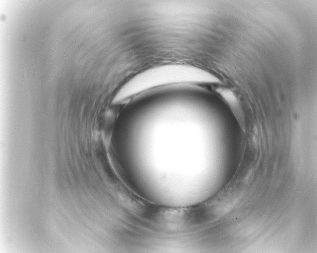 X0000088920084200706222005