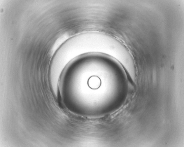 X0000088920099200706222004