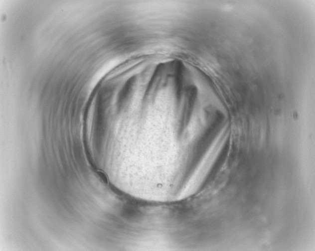 X0000088920100200706222004