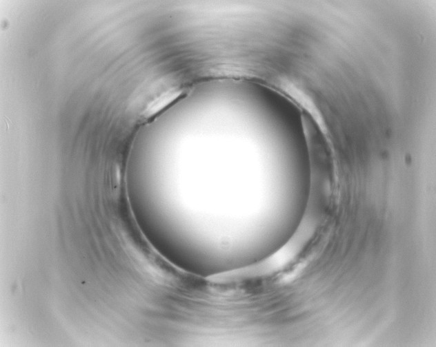 X0000088920109200706222004