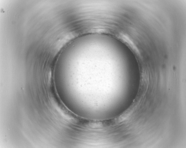 X0000088920110200706222004