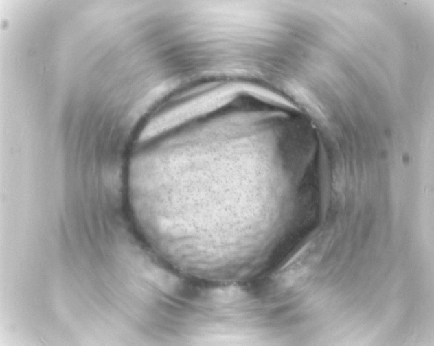X0000088920112200706222004