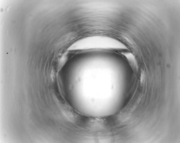 X0000088920125200706222004