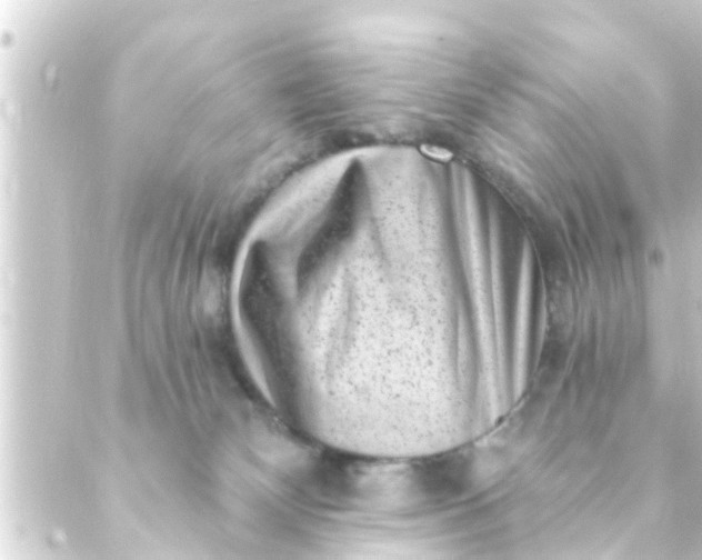 X0000088920132200706222004