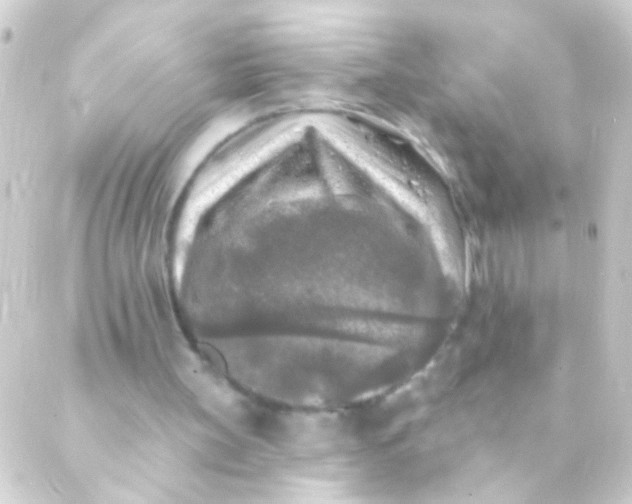 X0000088920147200706222003
