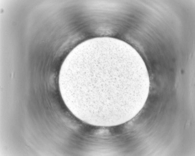 X0000088920162200706222003