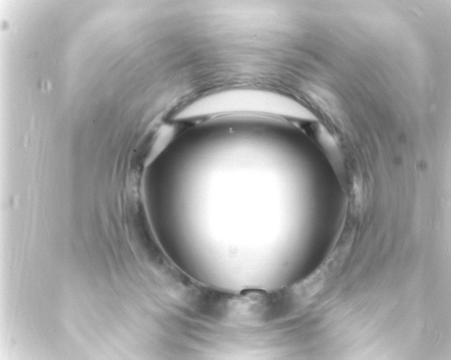 X0000088920172200706222003