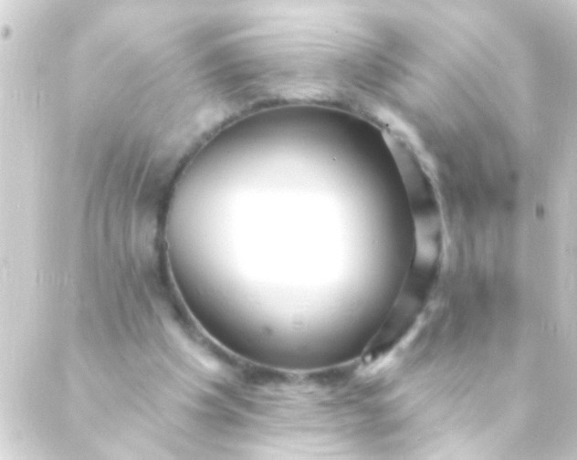 X0000088920201200706222003