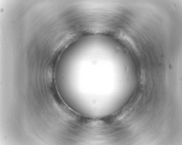 X0000088920210200706222002