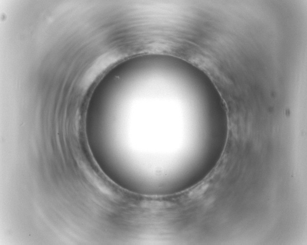 X0000088920242200706222001